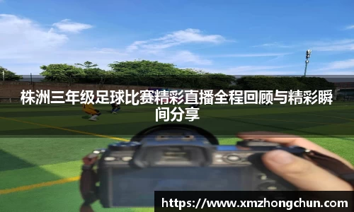 lewin乐玩全站