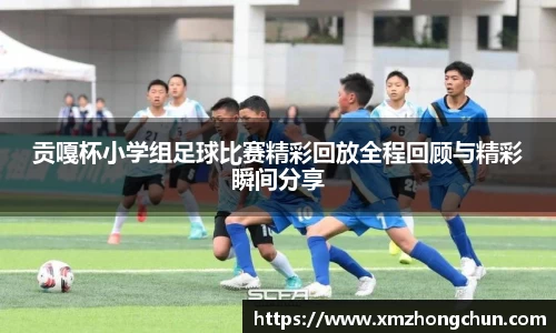 lewin乐玩网站