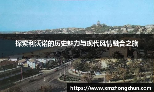 lewin乐玩全站